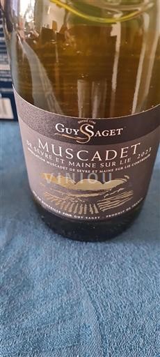 Loiren laakso Muscadet-sèvre-et-maine Guy Saget 2023