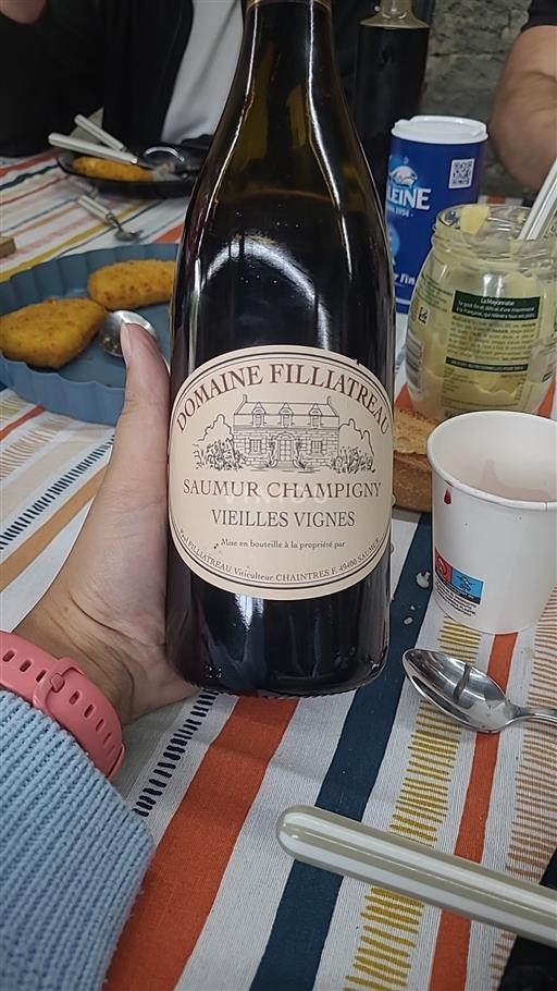 Dolina Loare Saumur-champigny Domaine Filliatreau Vieille Vigne Neleten.