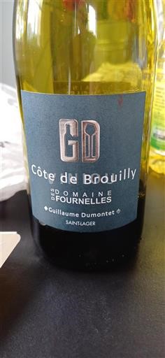 Beaujolais Côte-de-brouilly Domaine Des Fournelles 2019