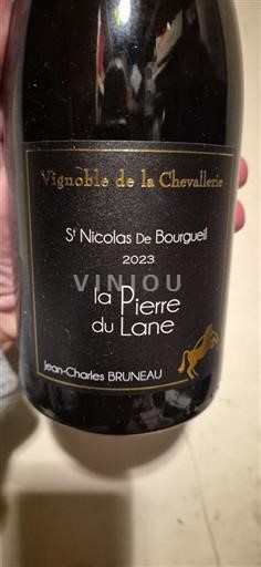 Vallée de la Loire Saint-Nicolas-De-Bourgueil Vignoble de la Chevallerie la Pierre du Lane 2023