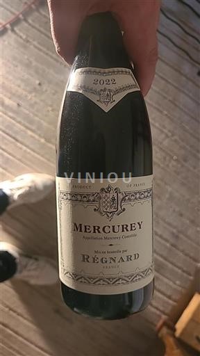 Borgogna Mercurey Régnard 2022