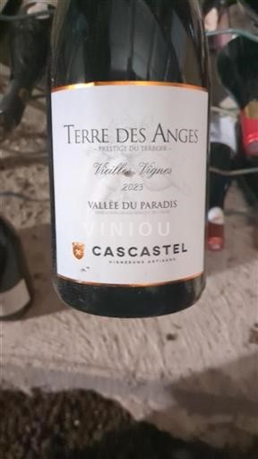 Languedoc och Roussillon Paradisdalen Cascastel Terre des Anges Vieilles Vignes 2023