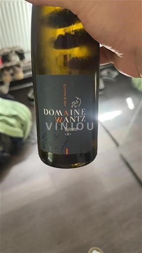 Alsace Domaine Wantz Sylvaner « M » 2021