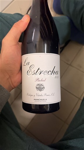 Castilië-La Mancha Manchuela Bodegas y Viñedos Ponce La Estrecha 2022