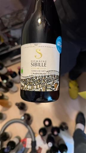 Languedoc Ikke specificeret Domaine Sibille L'Audacieuse 2023