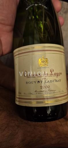 Valle del Loira Coteaux-du-Layon Bouvet Ladubay 2000