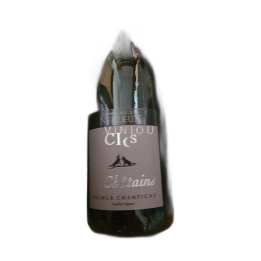 Valle della Loira Saumur-Champigny Domaine Nerleux Clos des Châtains Senza annata