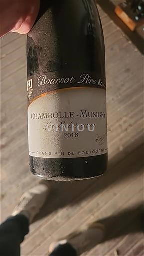 Vin Rouge sec Les Échézeaux Boursot Père & Fils 2018 France Bourgogne Chambolle-Musigny AOC