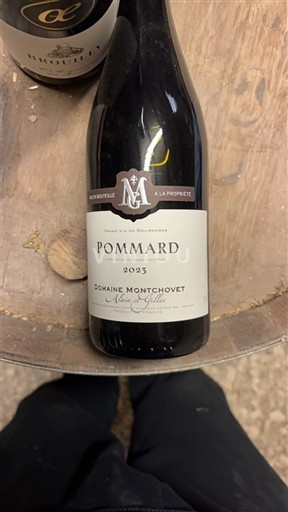 Bourgogne Pommard Domaine Montchovet 2023