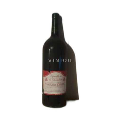 Loire Valley Saint-Nicolas-De-Bourgueil Vignoble de la Chevallerie 2010