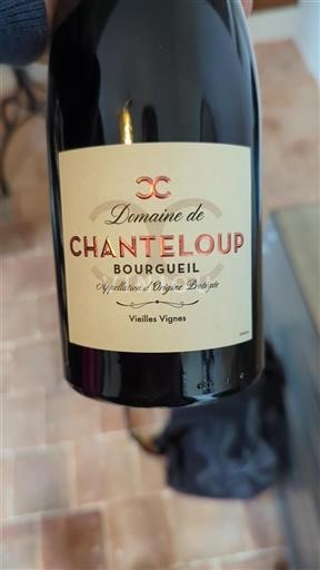 Valle del Loira Bourgueil Domaine Chanteloup Vieilles Vignes Sin añada