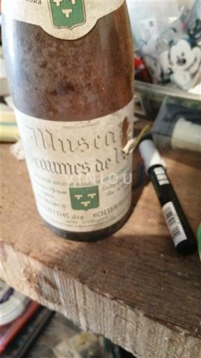 Rhônen laakso Muscat de Beaumes de Venise Domaine Coyeux 2001