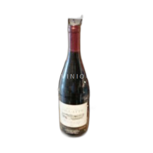 Valle del Loira Bourgueil Domaine La Villatte 2017