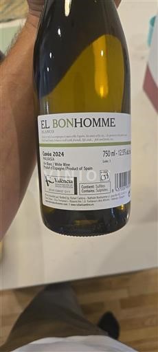 Valencijska skupnost Valencija Rafael Cambra El Bonhomme 2024