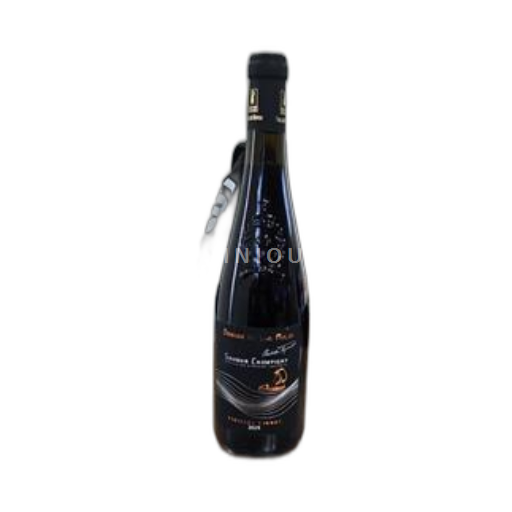 Valle della Loira Saumur-Champigny Domaine Val Hulin Vielles Vignes 2024