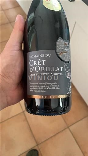 Beaujolais Domaine Crêt Oeillat Sans Sulfites Ajoutés 2024