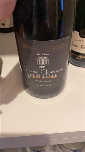 Valle della Loira Saumur-Champigny Domaine Fondis de Bruyn 2021
