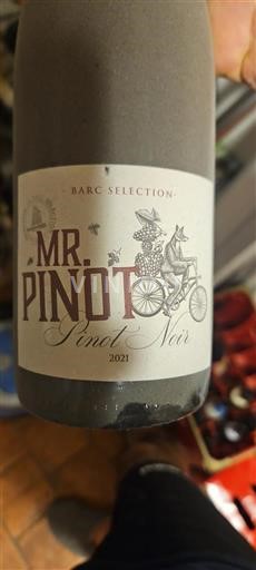 Alsasko Rulandské modré Mr. Pinot 2021