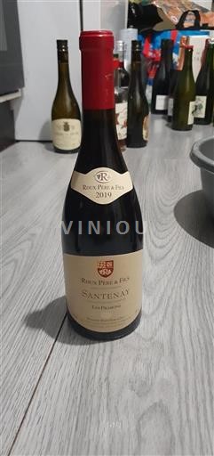 Borgogna Santenay Roux Père & Fils Les Prairons 2019