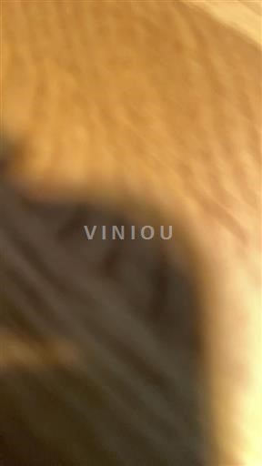 Alpen en Rhônevallei Coteaux de l'Ardèche Cave de Lablachère Gamay Trias Cévenol 2024