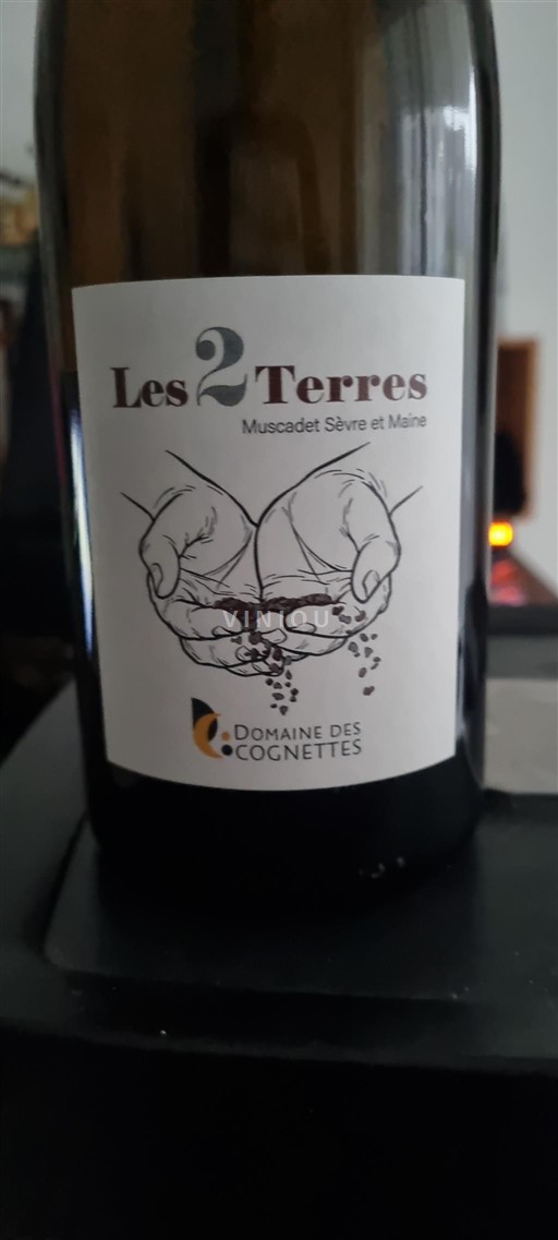 Valle della Loira Muscadet Sèvre et Maine Domaine Des Cognettes Les 2 Terres 2023