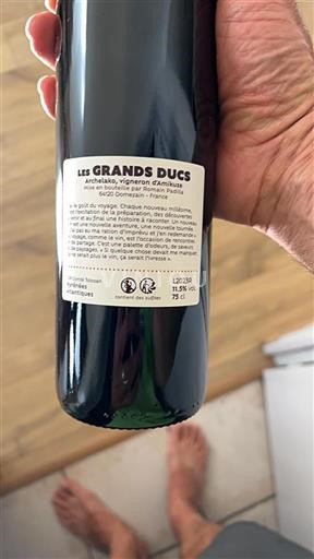 Sud-Ovest Côtes de Gascogne Archelao Les Grands Ducs 2023