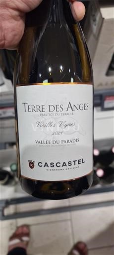 Languedoc och Roussillon Paradisdalen Cascastel Terre des Anges Vieilles Vignes 2024