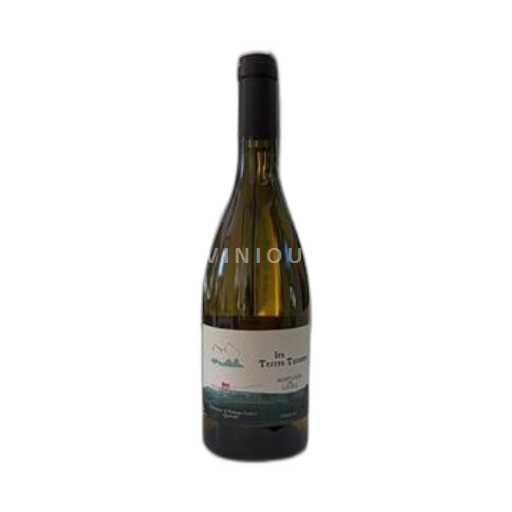 Valle del Loira Montlouis-sur-Loire Dominique & Philippe Ivancic Les Terres Turones 2023