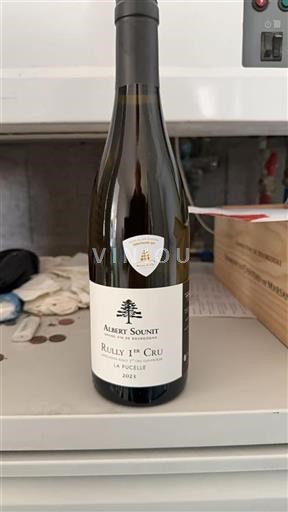 Bourgogne Ikke specificeret Premier Cru Albert Sounit La Pucelle 2023