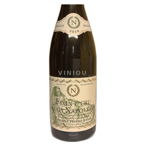Bourgogne Fixin Premier Cru Domaine Pierre Gelin Clos Napoléon 2020