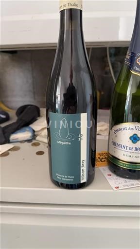 Bourgogne Mâcon et mâcon-villages Domaine Thalie Mégalithe 2023