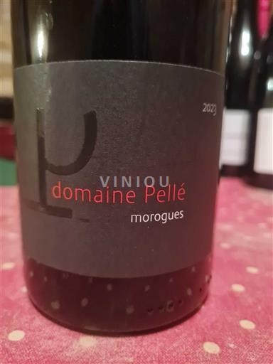 Loiredalen Menetou-salon Domaine Pellé Morogues 2023