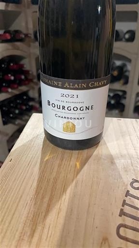 Bourgogne Domaine Alain Chavy 2021