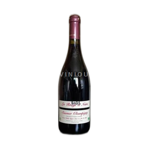 Údolí Loiry Saumur-Champigny Domaine Fouet Saumur Champigny 2021
