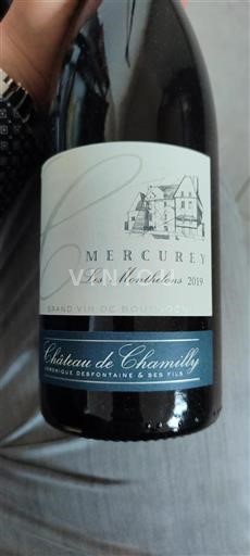Borgogna Mercurey Château Chamilly Les Monthelons 2019