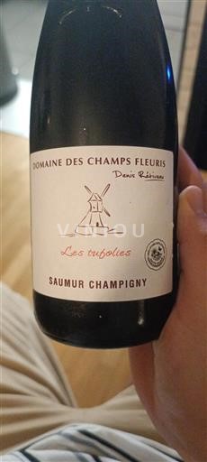 Valle della Loira Saumur-Champigny Domaine Des Champs Fleuris Les tufolies 2022