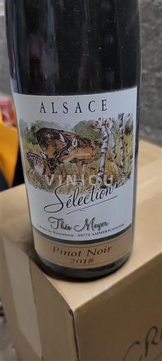 Alsace Not Specified Théo Meyer Sélection 2018