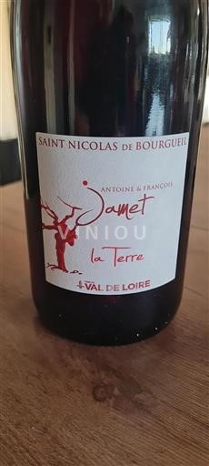 Loire Valley Saint-Nicolas-De-Bourgueil Antoine & François Jamet La Terre 2023