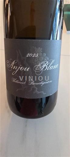 Loirevallei Anjou Thibaud Boudignon 2023