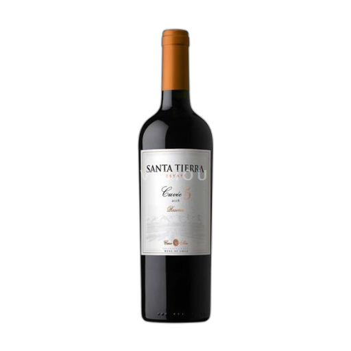 Colchagua Valley Niet gespecificeerd Viña Casa Silva 5 2021