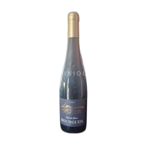 Valle del Loira Bourgueil X 2024