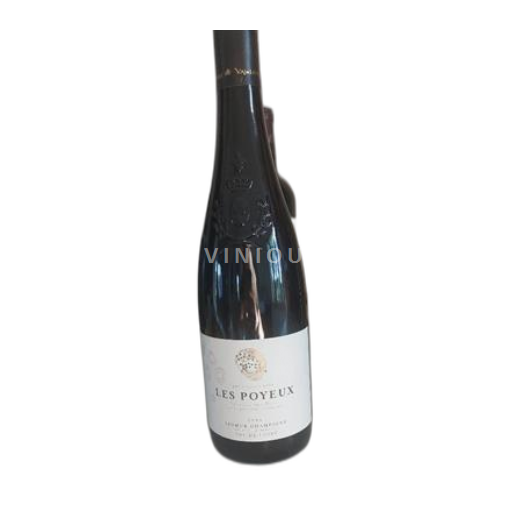 Valle della Loira Saumur-Champigny Robert et Marcel 2023