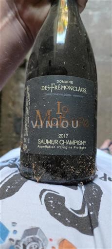 Valle della Loira Saumur-Champigny Domaine Des Frémonclairs La Martinière 2017