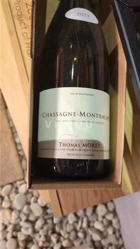 Borgoña Chassagne-Montrachet Thomas Morey 2023