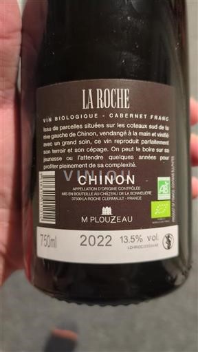 Loire Valley Chinon Château La Bonnelière La Roche 2022