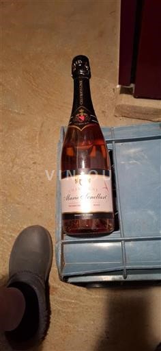 Champaña Champán Premier Cru Marie Senellart Sin añada