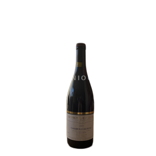 Burgundi Chambolle-Musigny Domaine rion Aux beaux bruns 2021