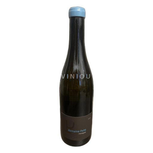 Loiretal Menetou-Salon Domaine Pellé 2023
