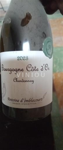 Burgundy Burgundy Côte d'Or Antoine Imblecourt 2023