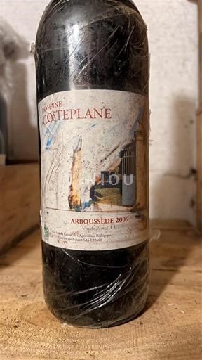 Languedoc No especificado Domaine Costeplane Arboussède 2009